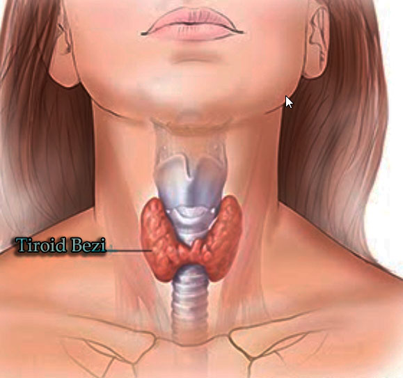 Hamilelerde tiroid ve takibi
